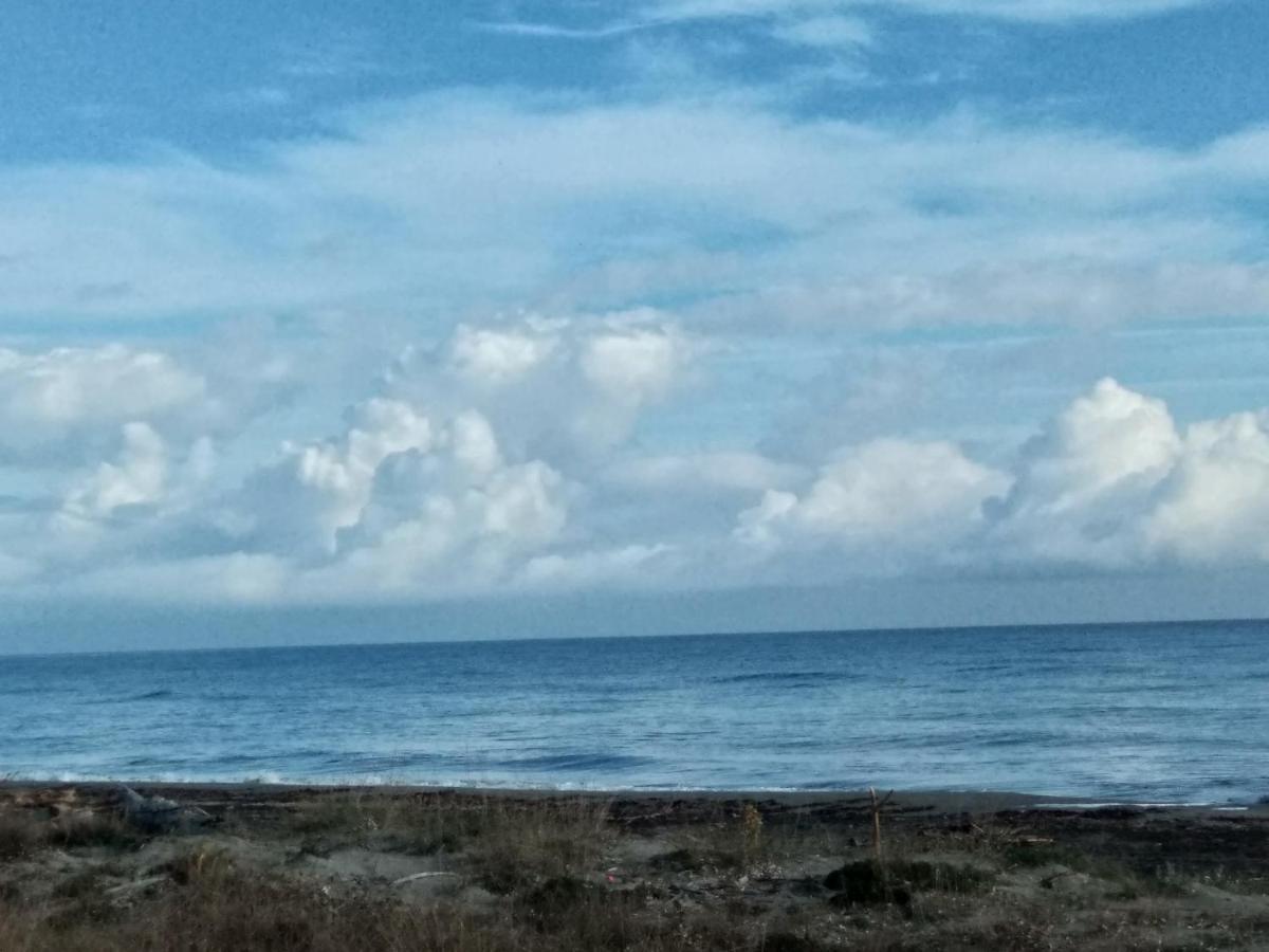 Un Nid Douillet En Bord De Plage !! Lucciana  Exterior foto
